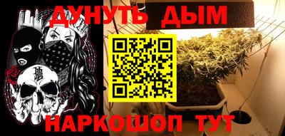 стаф Бузулук