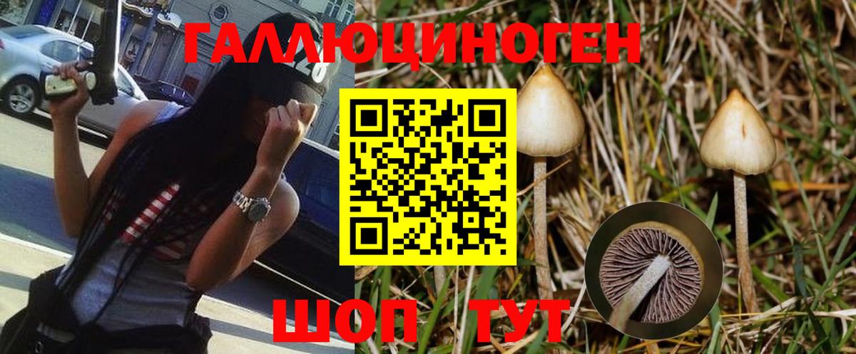 Нарткала  Псилоцибиновые грибы Psilocybine cubensis  Вход с VPN 