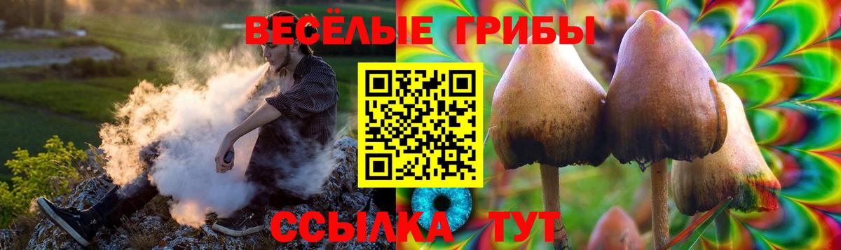 ЭКСТАЗИ  COCAIN  Марихуана  Alpha-PVP СОЛЬ кристаллы  МЕФ   ГАШ  Вход с VPN  Нарткала  Меф 